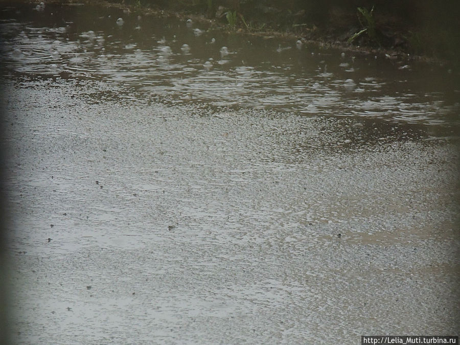 по нашему заказу! Челябинск, Россия