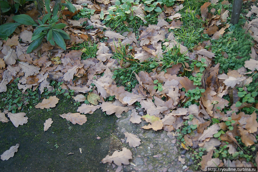 Богородск Москва и Московская область, Россия