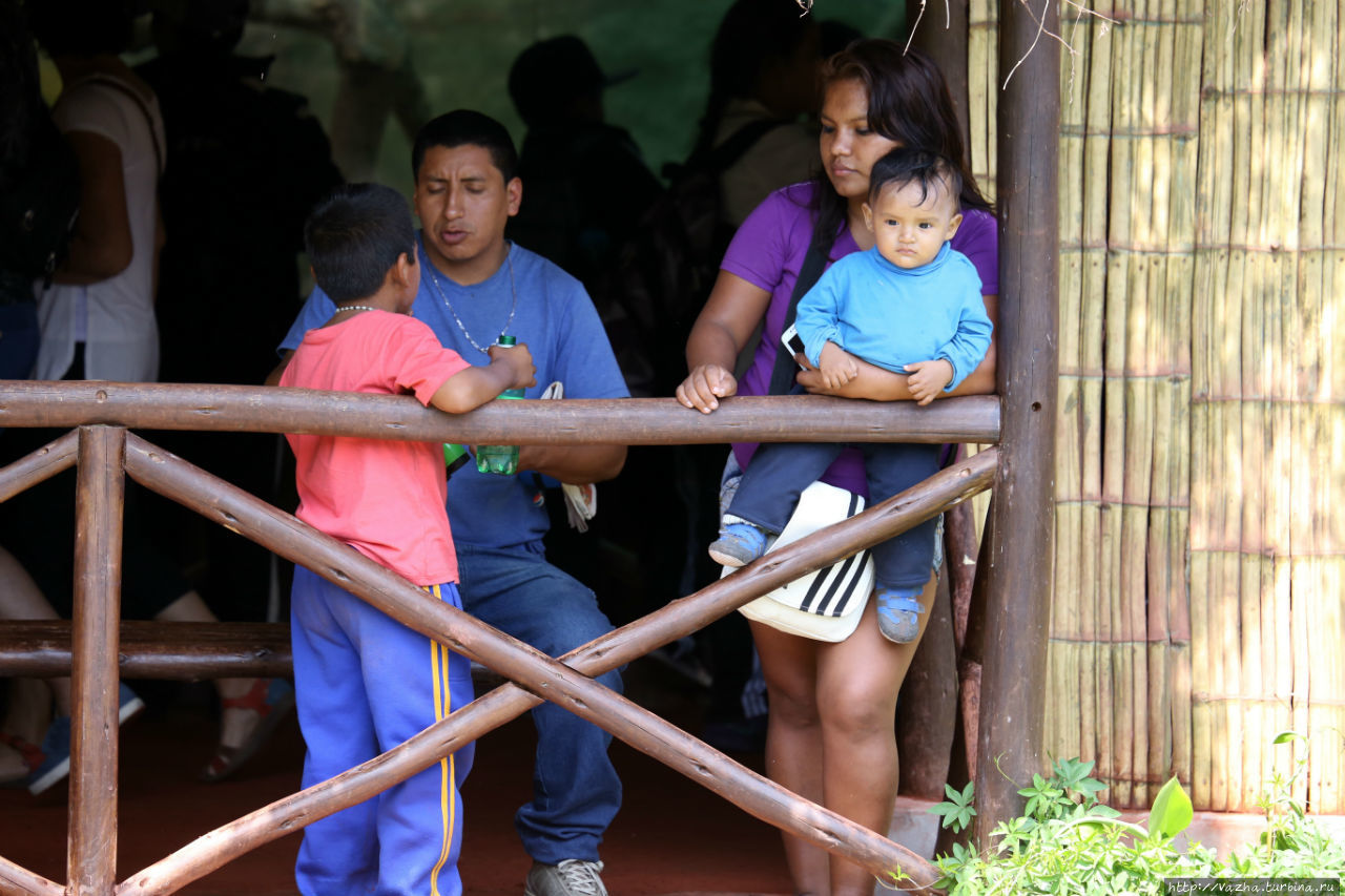 Зоопарк Лимы Лима, Перу