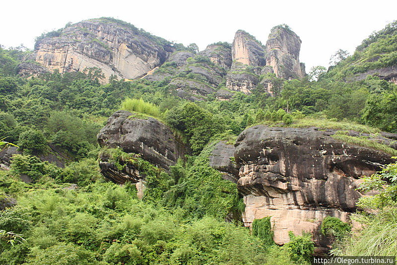 Вдоль утёсов, по полям чайным Уишань, Китай