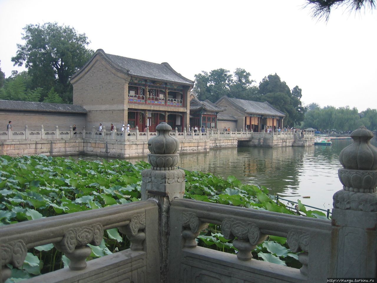 Парк Ихэюань Отцветшие лотосы Пекин, Китай