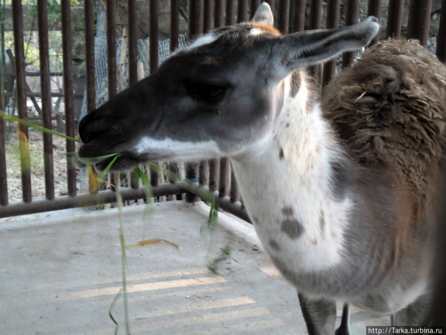 Чиангмай Чиангмай, Таиланд