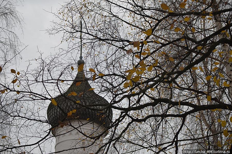 Золото листвы на куполах Суздаль, Россия