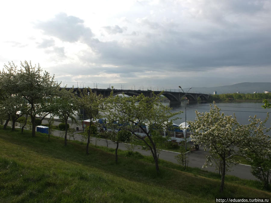 Всё в цвету, почти как в 