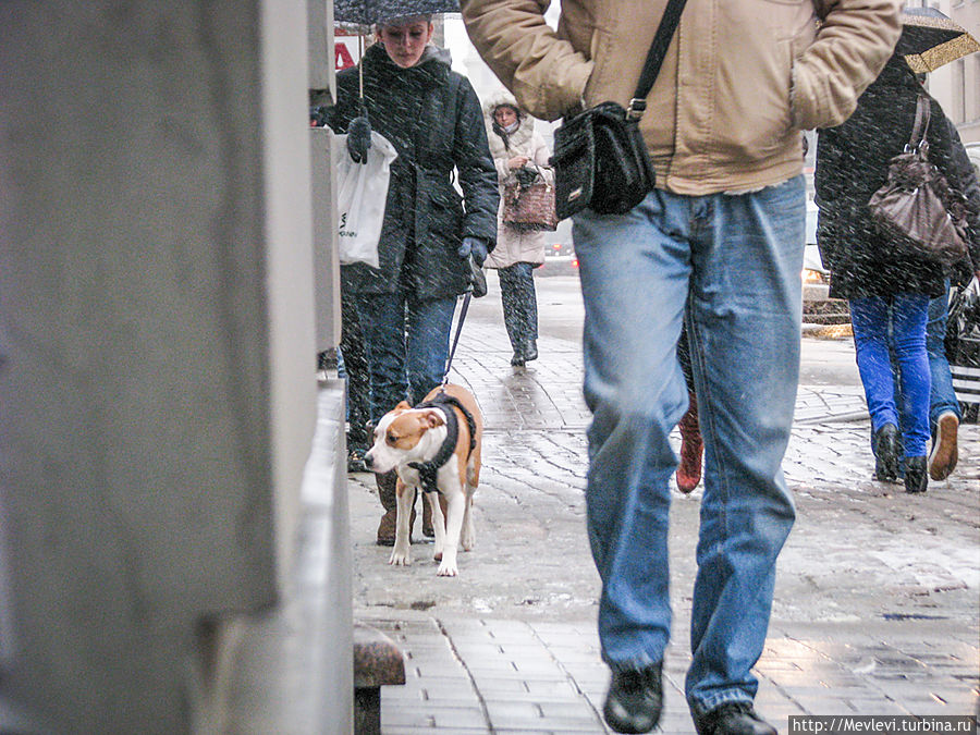 Апрель. Рига Рига, Латвия