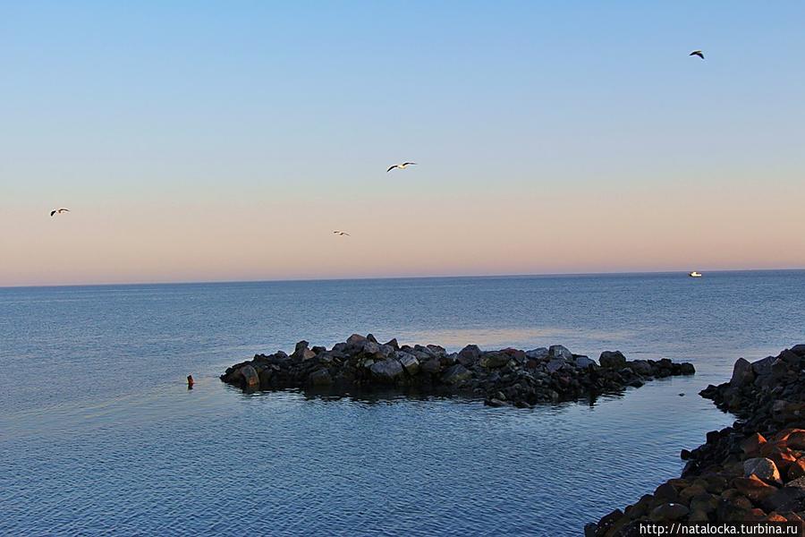 В гостях у фламинго. Уолфиш-Бей, Намибия