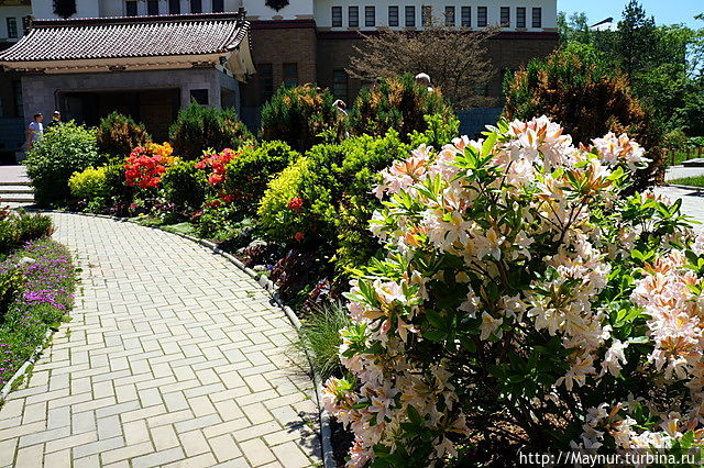 День музея Южно-Сахалинск, Россия