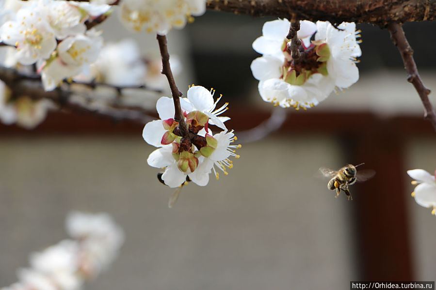 Хроники весны, день двадцатый Харьковская область, Украина