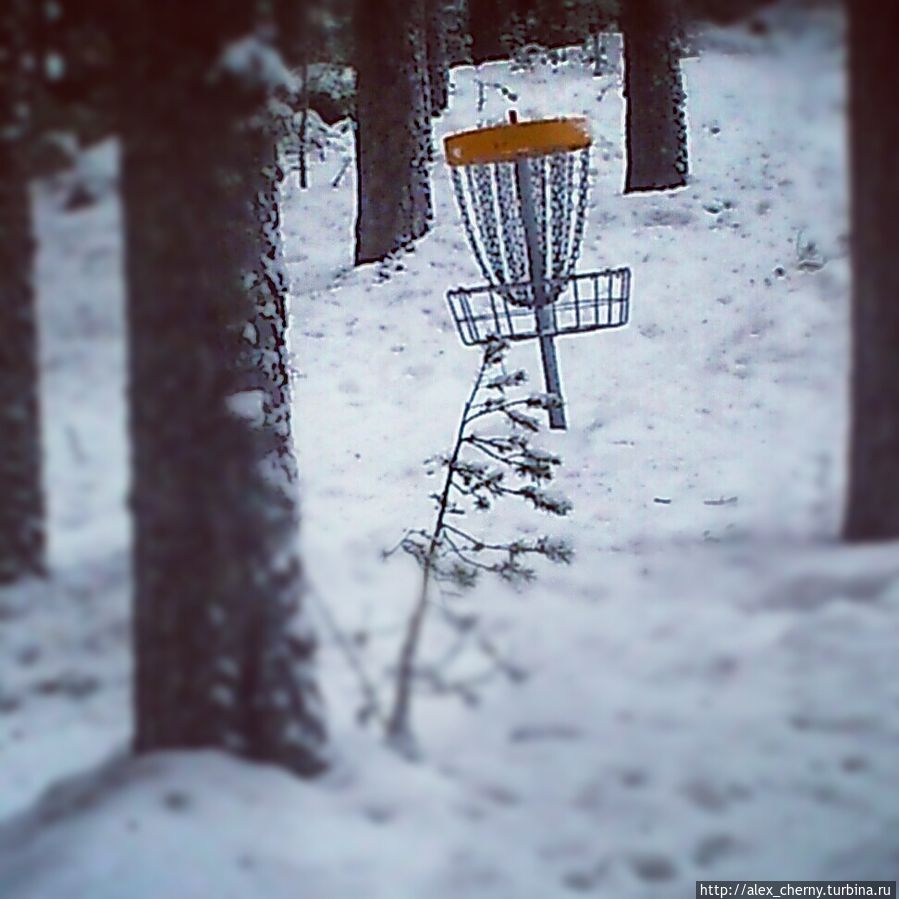 Что это такое — кто знает?  
Лунка в популярной frisbee-golf : кидаешь тарелочку, она попадает в цепи и сваливается в корзинку. Ювяскюля, Финляндия