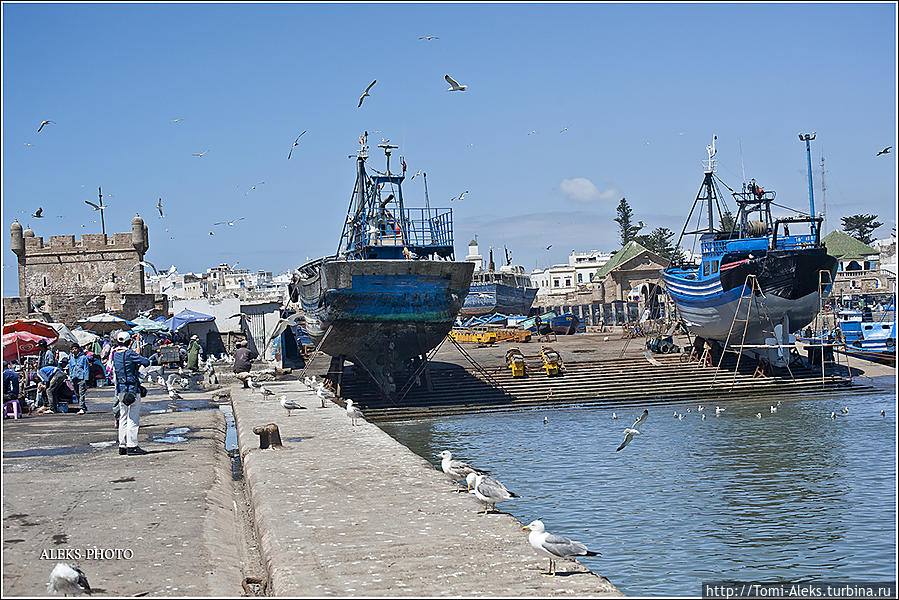 Починим сети и снова в море (Марокканский Вояж ч18) Эссуэйра, Марокко