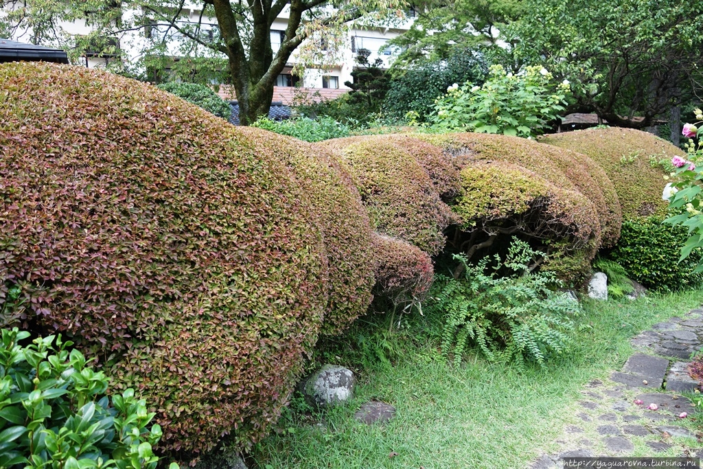 Природный парк Хаконе. Еще один японский садик. Хаконэ, Япония