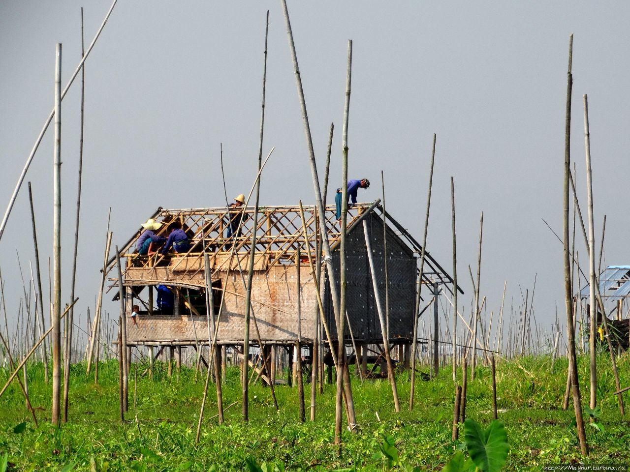 Мьянма. Озеро Инле Ньяунг-Шве, Мьянма