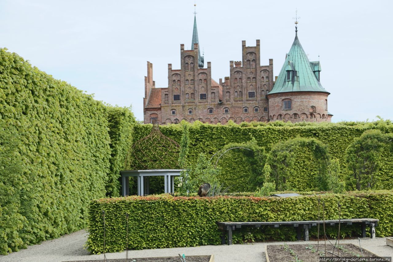 Замок Эгесков Оденсе, Дания Замок Эгесков Оденсе, Дания