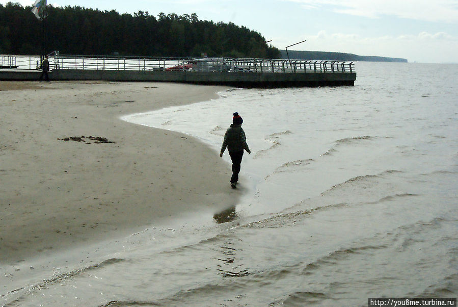 Поймайте мне кролика Нижегородская область, Россия