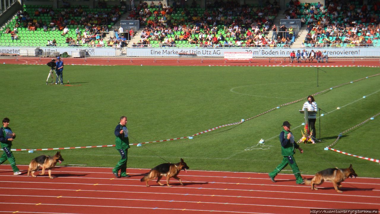 Зигер в Ульме Ульм, Германия Зигер в Ульме Ульм, Германия
