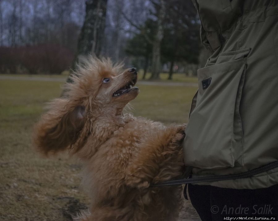 В марте в парке Аркадия Рига, Латвия