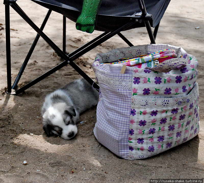 Дом — 2 Кута, Индонезия