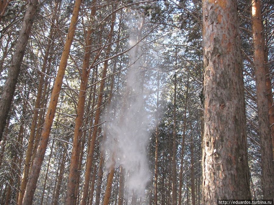Оттепель в зимнем лесу... Красноярск, Россия