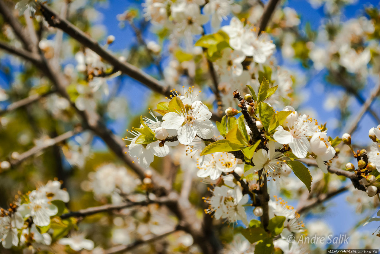 Южный город Ситжес, Испания