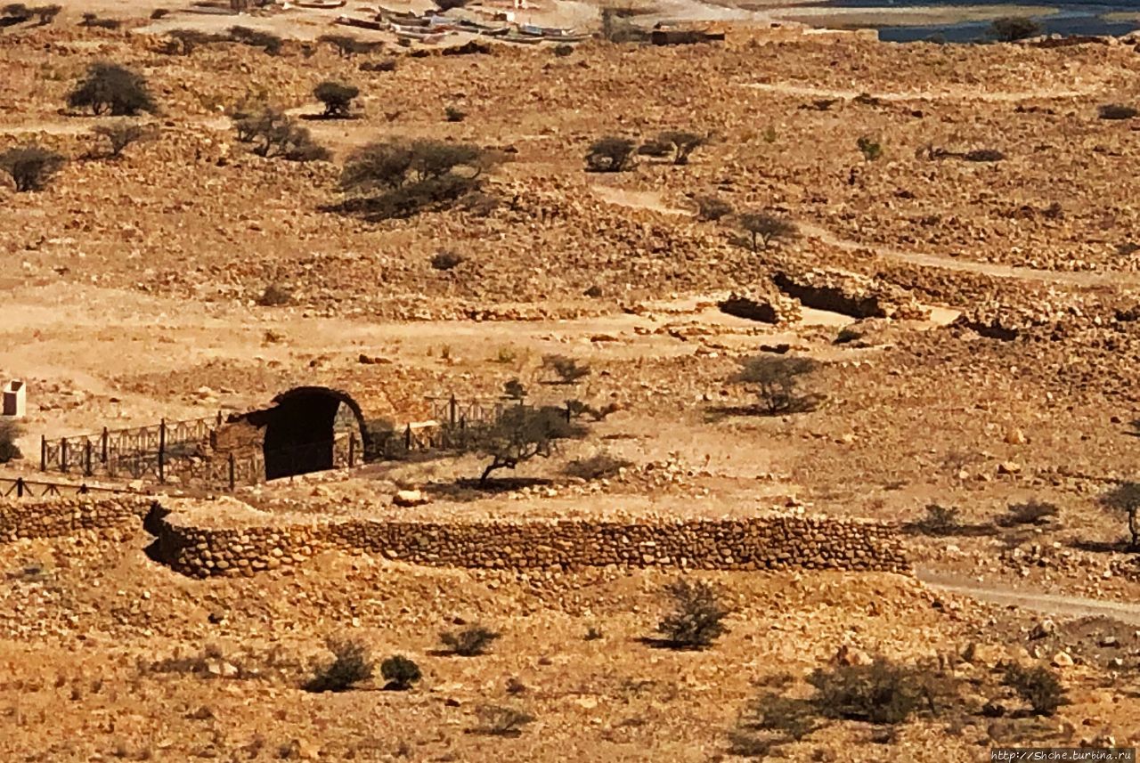 Древний Калхат (Гробница Биби Мариам) Калхат, Оман