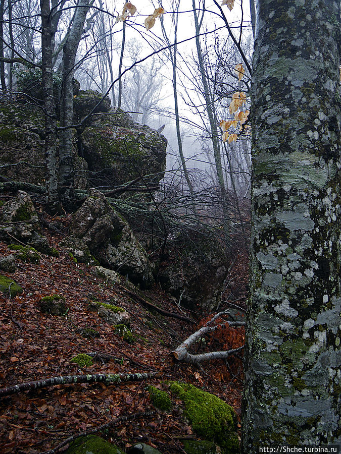 на высотах около 1000 метров попадали в зону облаков