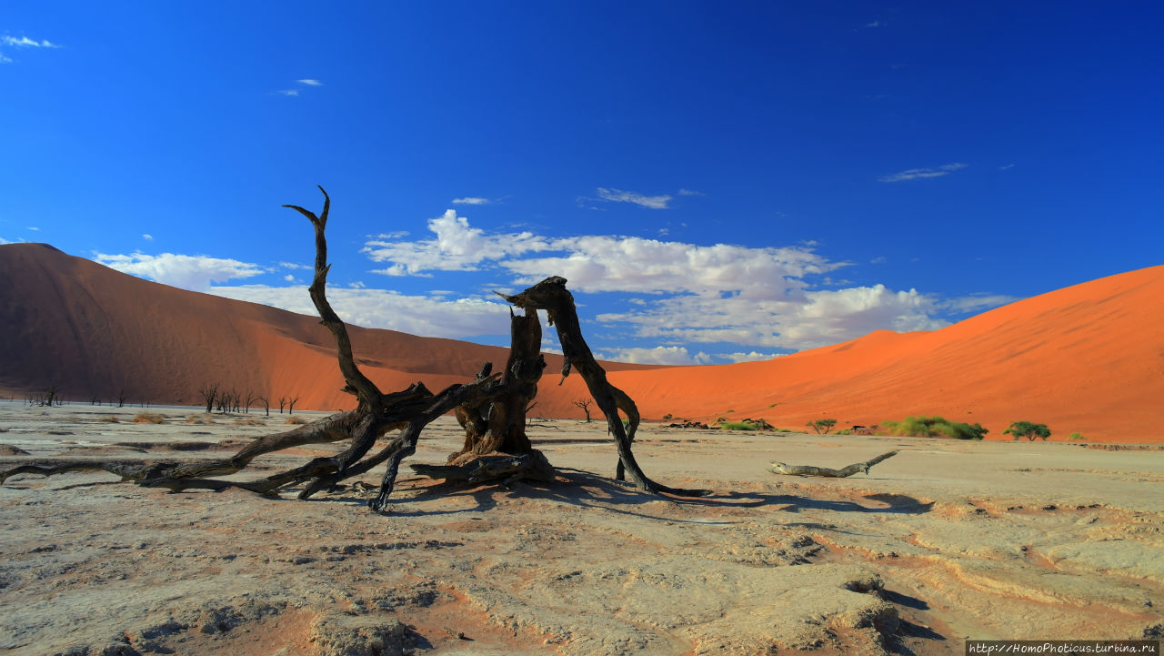 Намибия, Соссусвлей, долина Смерти, день, выдержка 1/200 ISO-100