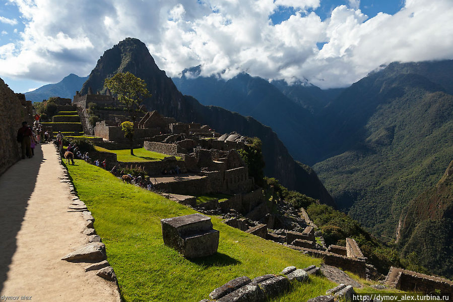Кстати, услышал краем уха одного из гидов: город Мачу-Пикчу оригинален на 70 % Мачу-Пикчу, Перу