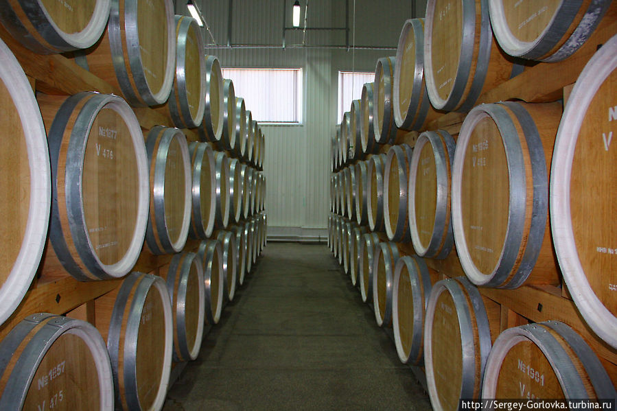 Золотая Амфора 2012 Песчаное, Россия