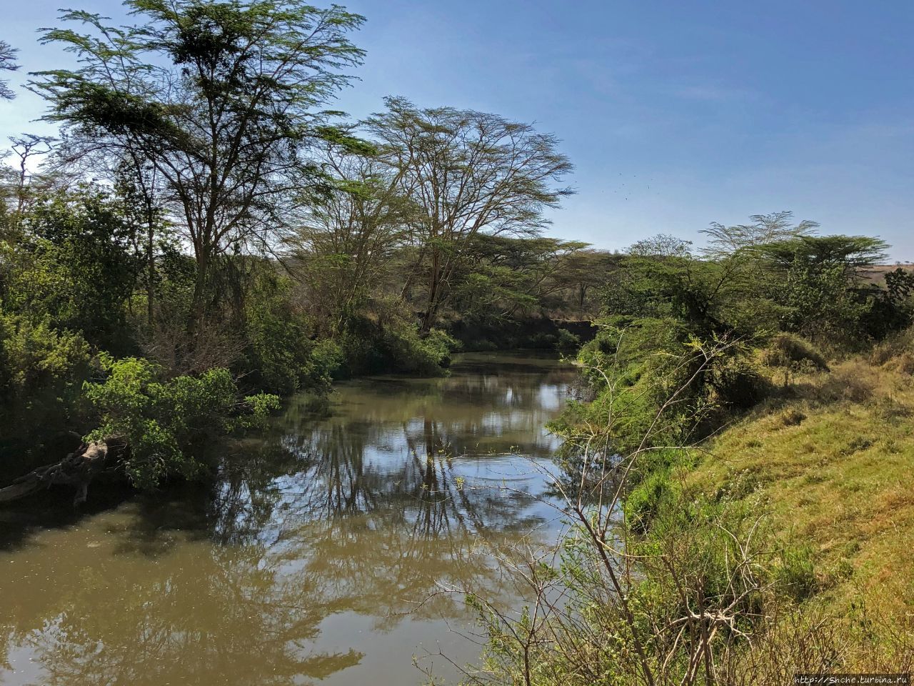 Место для пикника Мокоети Национальный парк Найроби, Кения