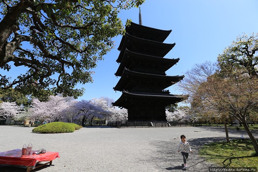 Пагоду которую мы видим сейчас,была построена в 1644 году, сёгуном Токугава Иэмицу Киото, Япония