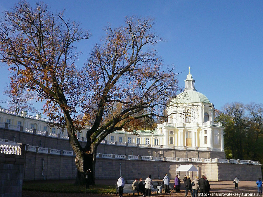 Ораниенбаум.  Утро дворца Ломоносов, Россия