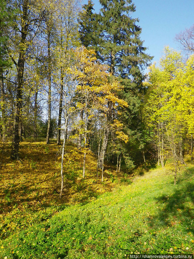 Ораниенбаум.  Прогулка по парку Ломоносов, Россия