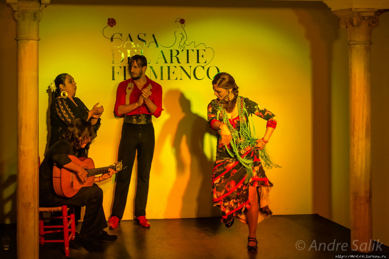 Casa del Arte Flamenco Гранада, Испания