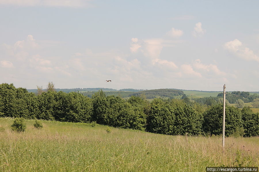 Зато пейзажи радовали взгляд — холмистая эта местность — Воложинский район. А вон и символ Беларуси вдалеке пролетает, прохладненько видимо там вверху.