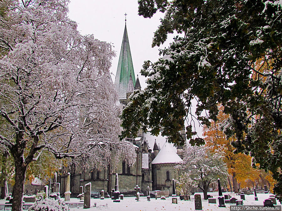 основная территория парка-кдадбища находится на восточной стороне собора Тронхейм, Норвегия