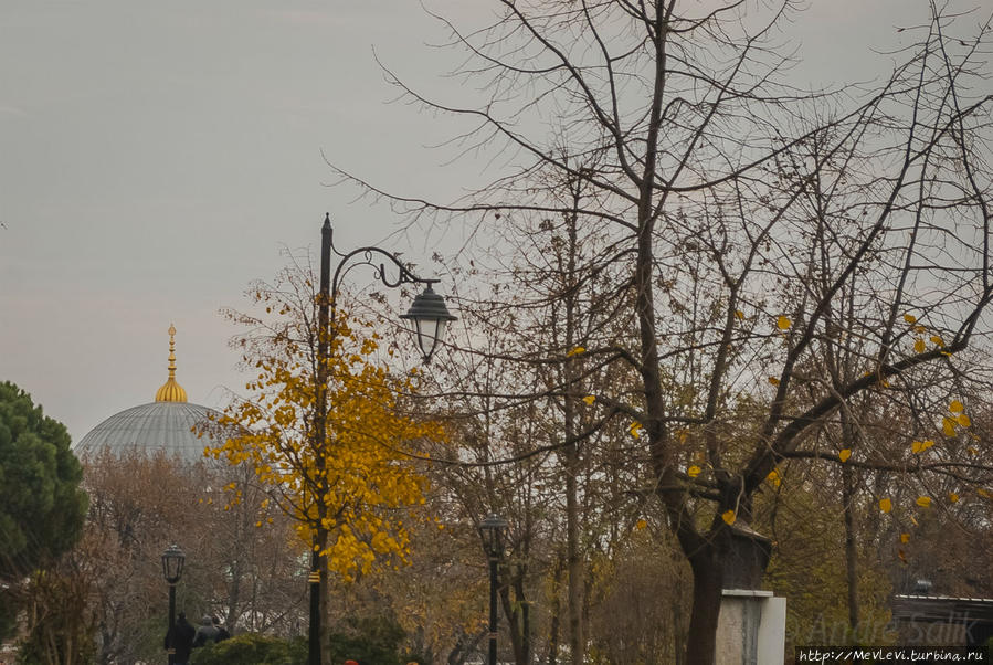 Дневные улицы Стамбула Стамбул, Турция