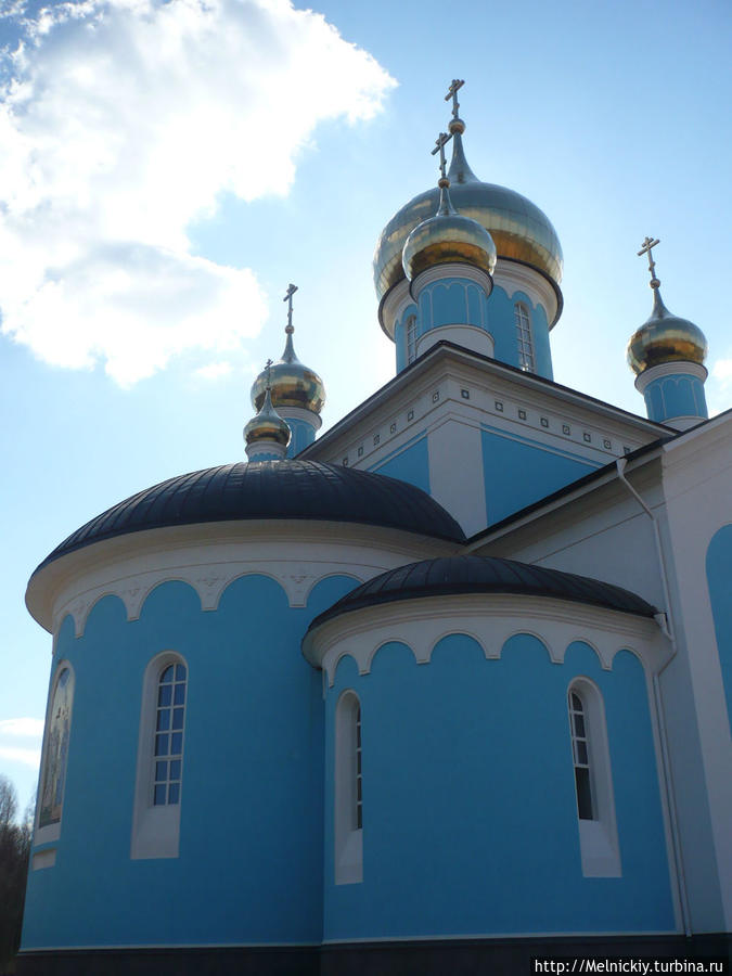 Свято-Благовещенский Никандровский монастырь Порхов, Россия