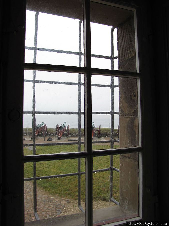 Из окна видны пушки.