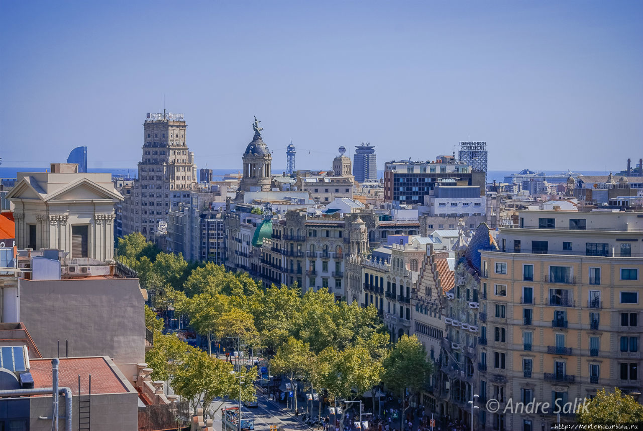 Август в Барселоне Барселона, Испания