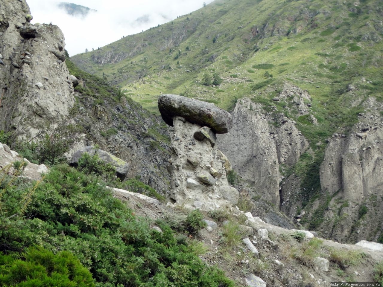 Урочище каменных грибов. Горный Алтай. Аккурум урочище каменных грибов, Россия