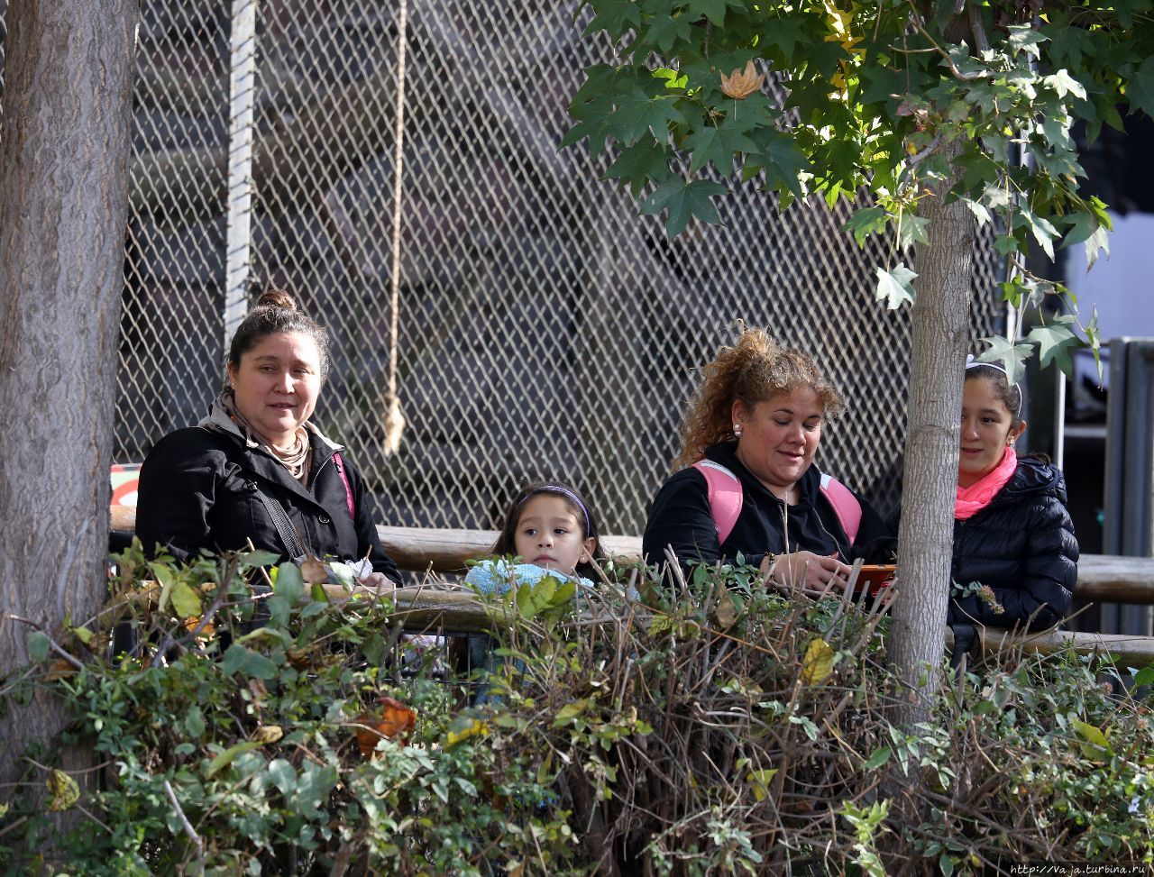 Прогулка по зоопарку Сантьяго де Чили Сантьяго, Чили