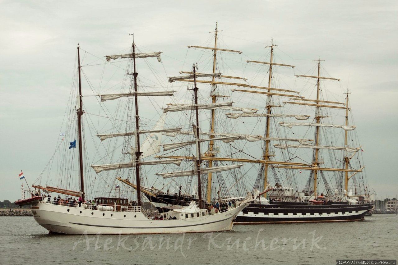 SEDOV 2014