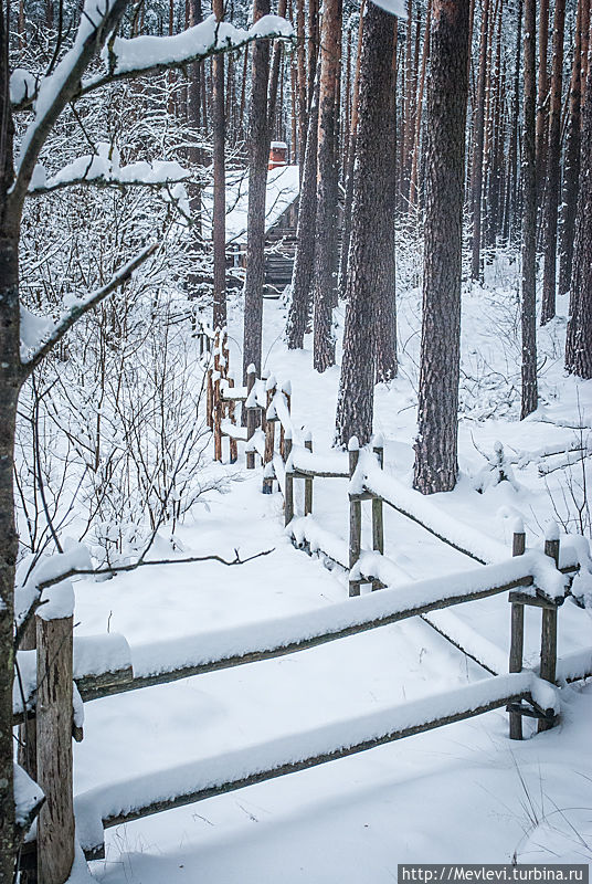 Заснеженная пасека Рига, Латвия