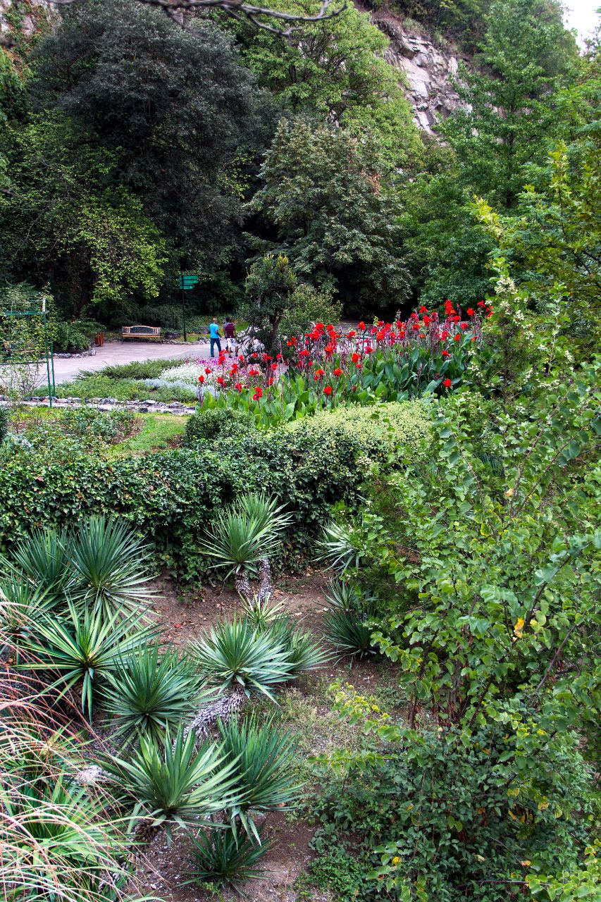 Ботанический сад. Тбилиси Тбилиси, Грузия