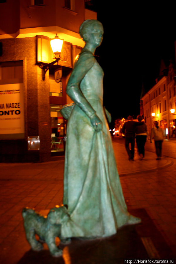 Ночной город и его обитатели Торунь, Польша