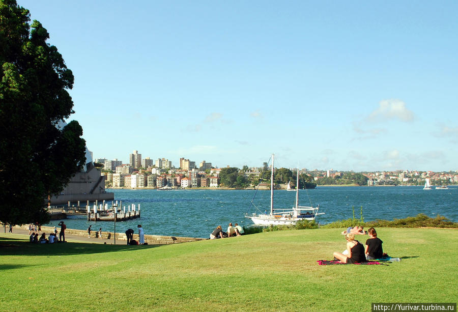 Австралийцы любят проводить свой досуг располагаясь прямо на лужайках Сидней, Австралия