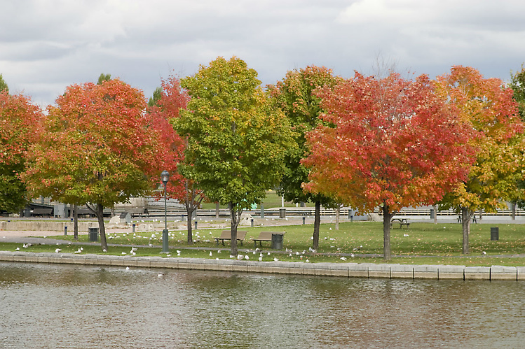 Монреаль, набережная.