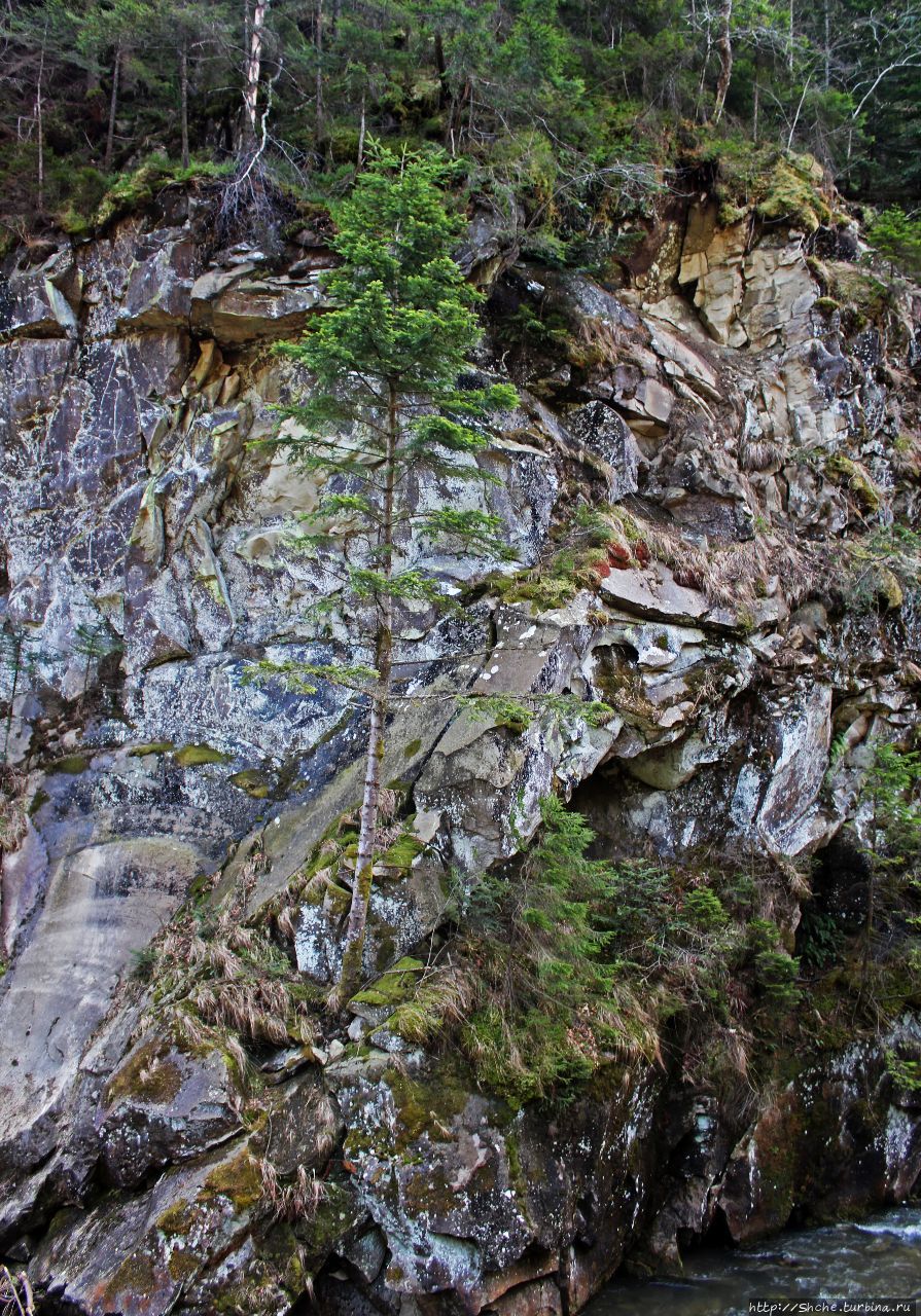 водопад Каменка Каменка (Львовская область), Украина