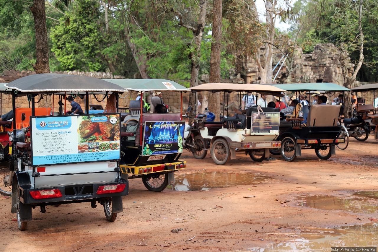 Средство передвижения до Ангкор Вата Ангкор (столица государства кхмеров), Камбоджа