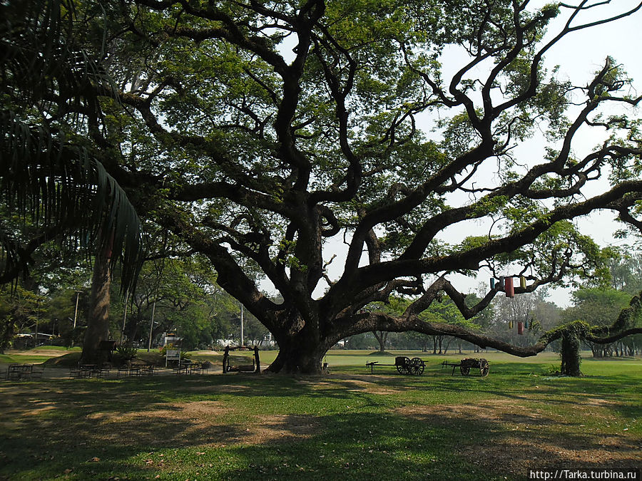 Чиангмай Чиангмай, Таиланд